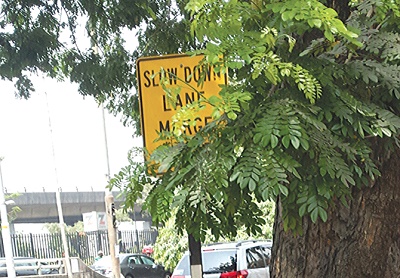 Obstructed road sign 