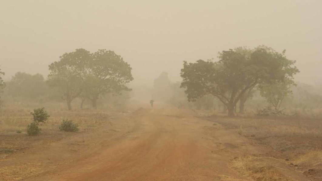 harmattan