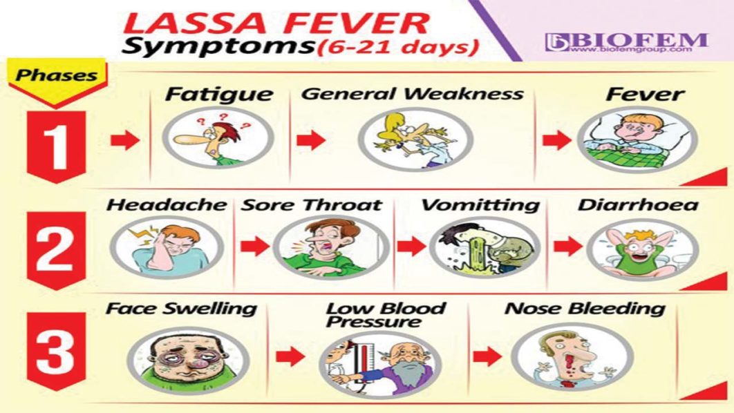 lassa-fever-symptoms