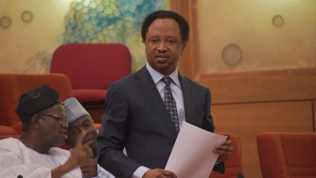 senator-shehu-sani