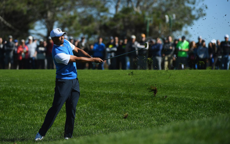 Tiger Woods