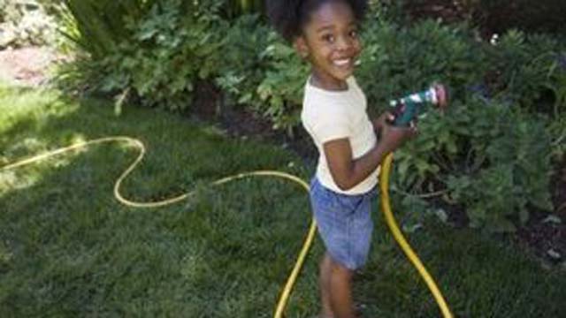 Pix3.–shape-flower-bed-