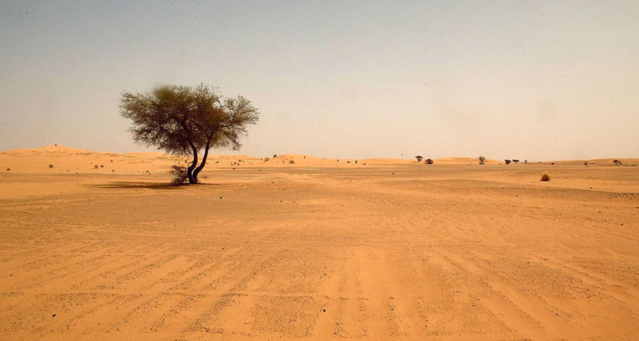 Desert
