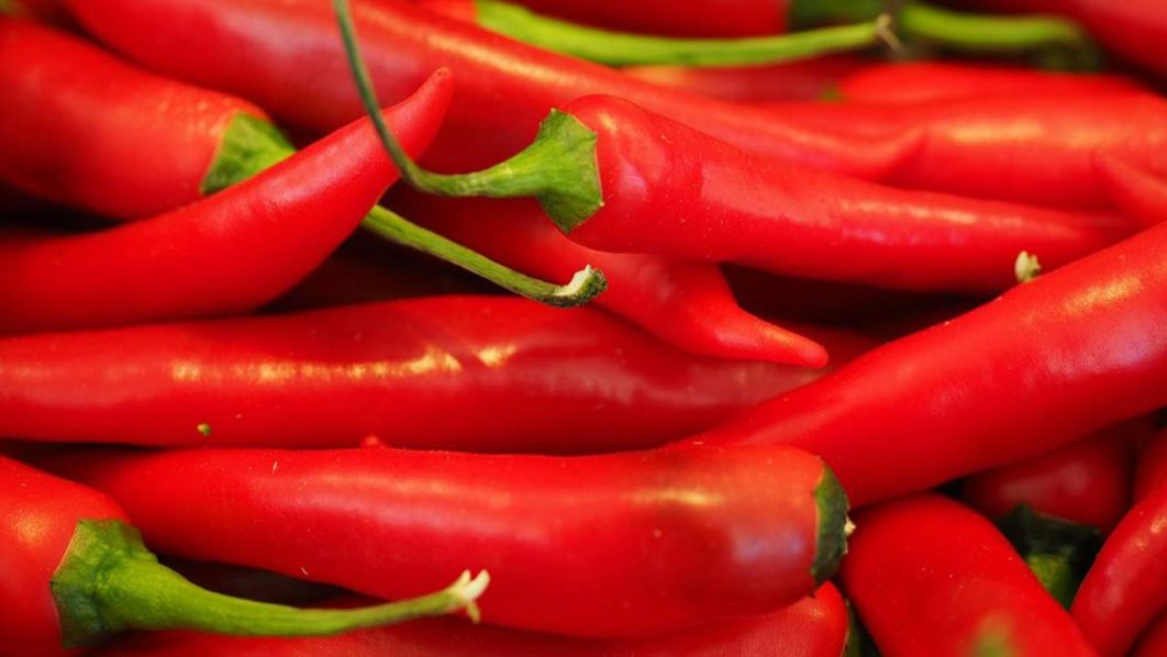 chili_red_sharp_spice_chili_peppers_peppero.max-1000×800