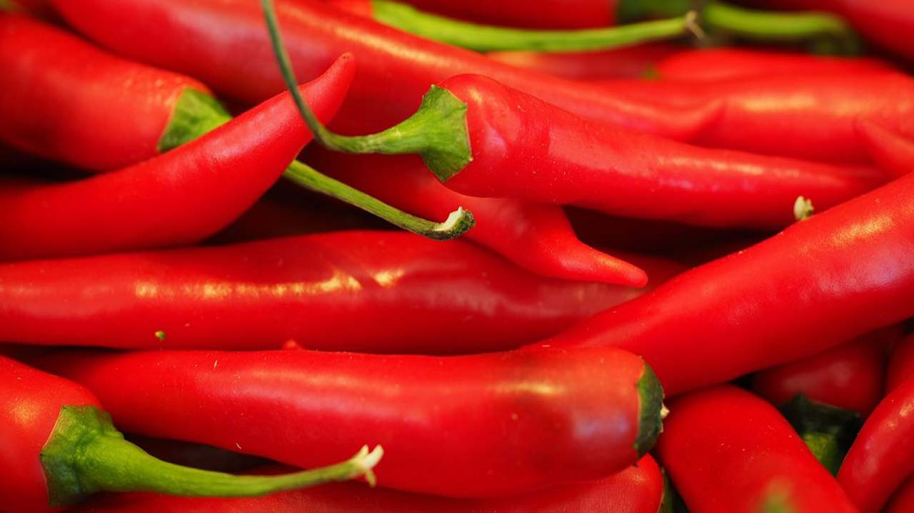 chili_red_sharp_spice_chili_peppers_peppero.max-1000×800