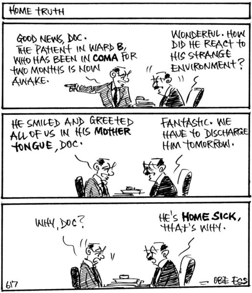 CARTOON–30-6-2017