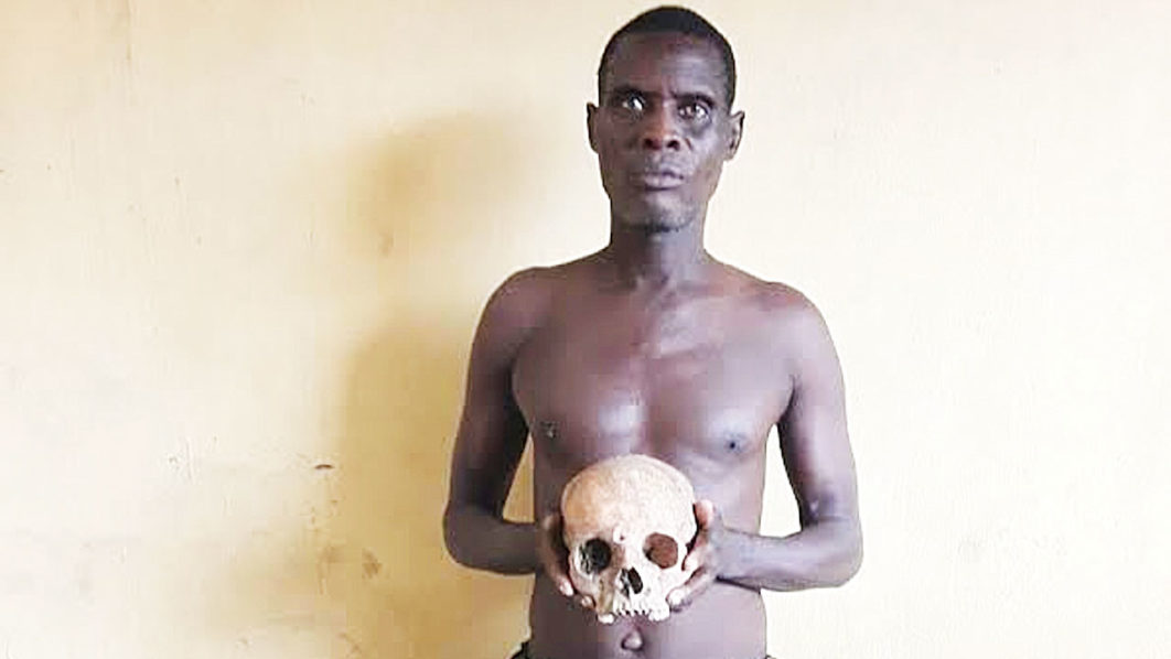 Human-Skull