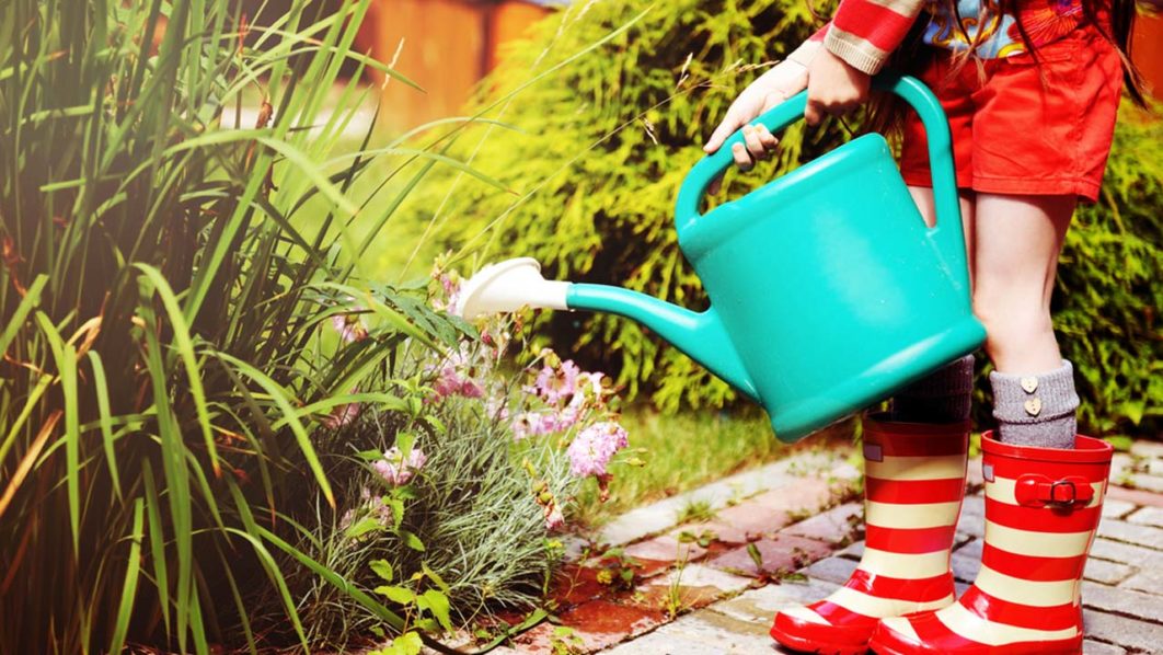 water-saving-gardening
