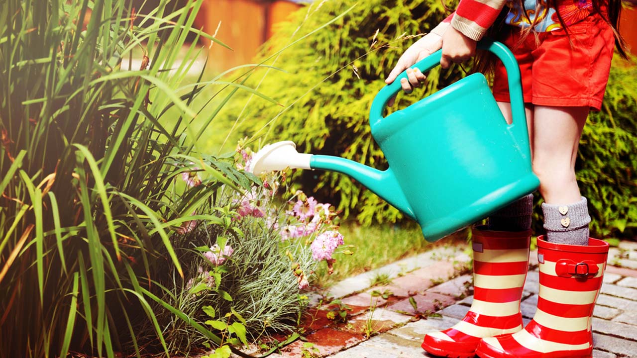 water-saving-gardening