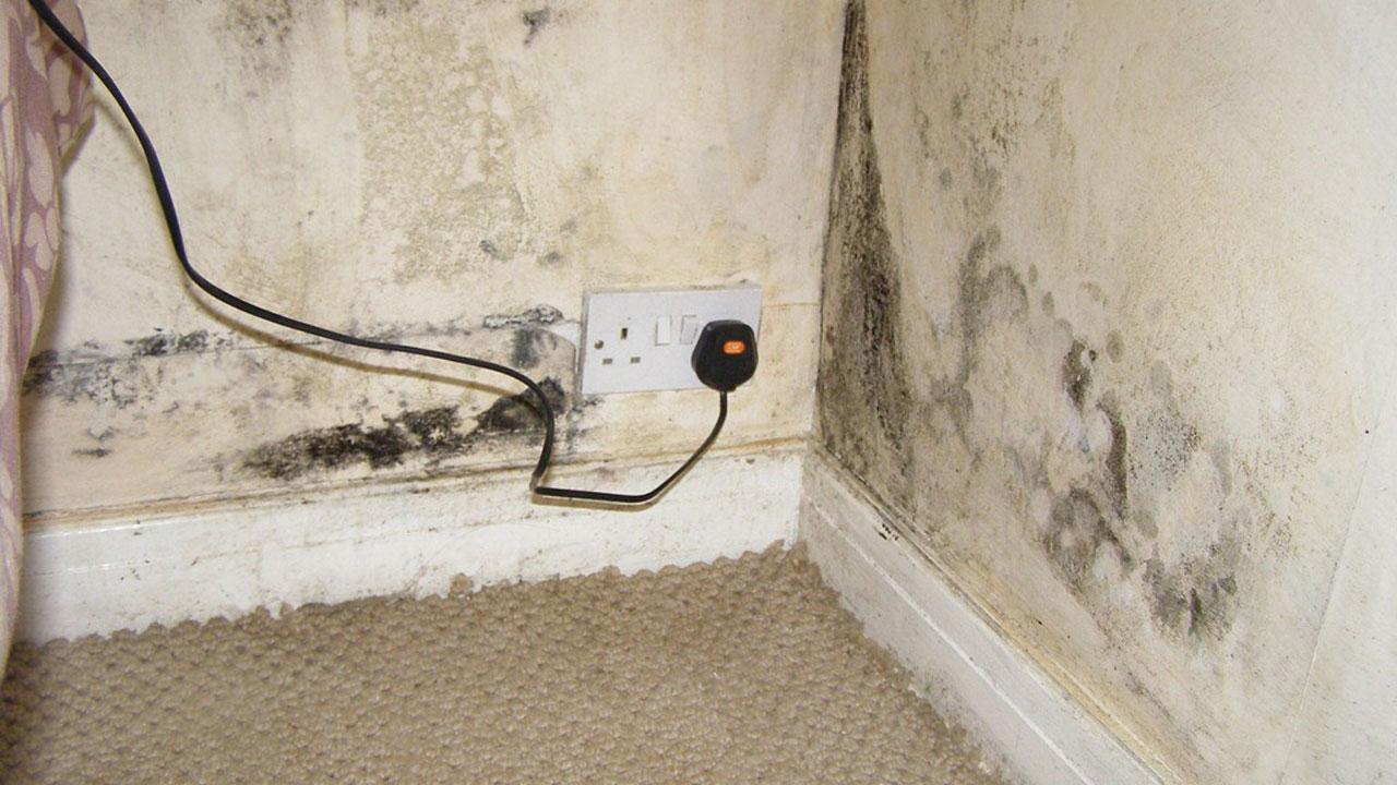 Mould2