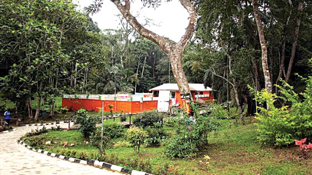 Ikogosi