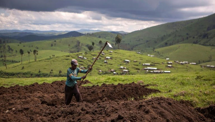 DR Congo