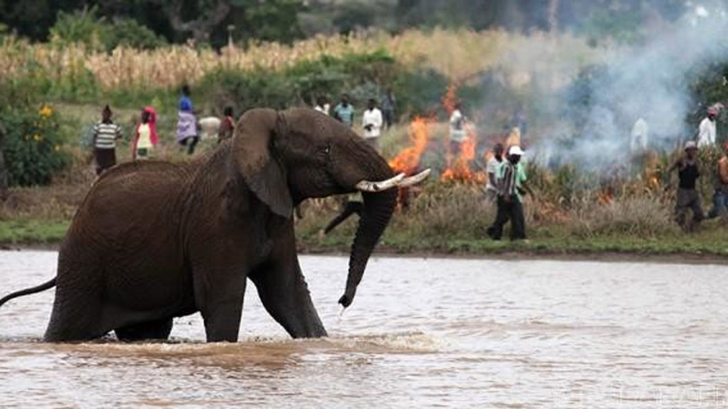 Wildlife_helicopter_kenya_IMG_7677-700×320-700×320