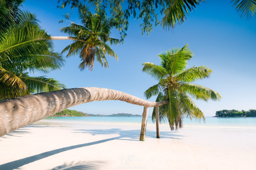 Strand auf Praslin, Seychellen
