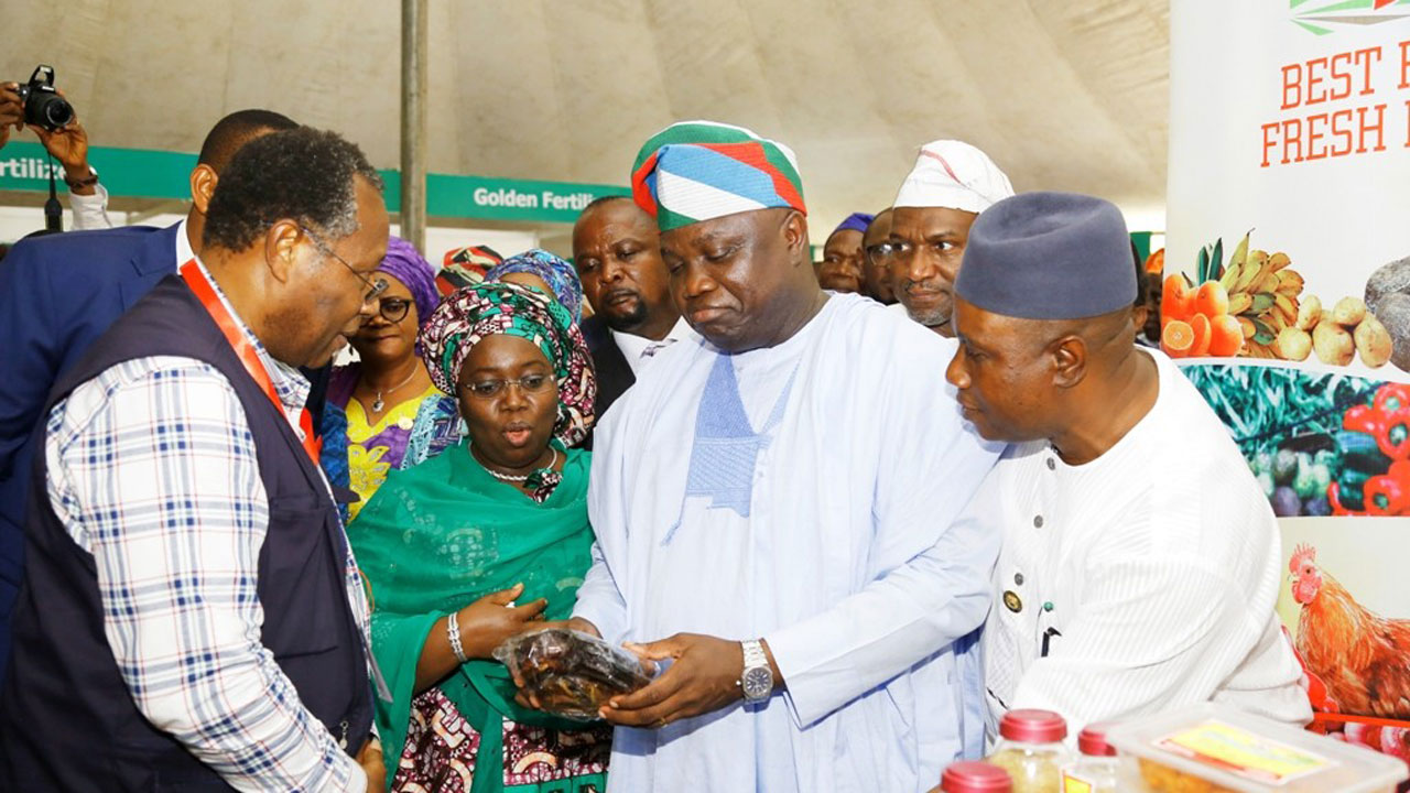 _Ambode