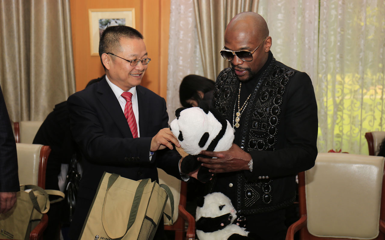 BOX-CHINA-ASIA-USA-MAYWEATHER-ANIMAL-PANDA