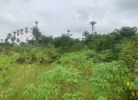 Kajola, Ogun State