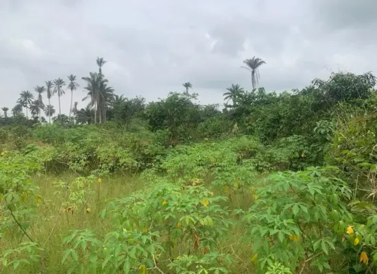 Kajola, Ogun State