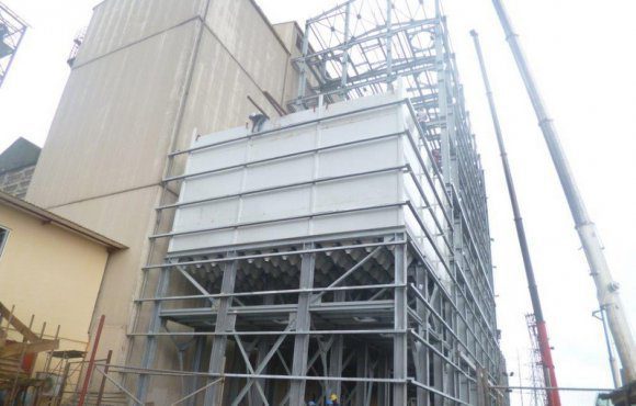 niger flour mill