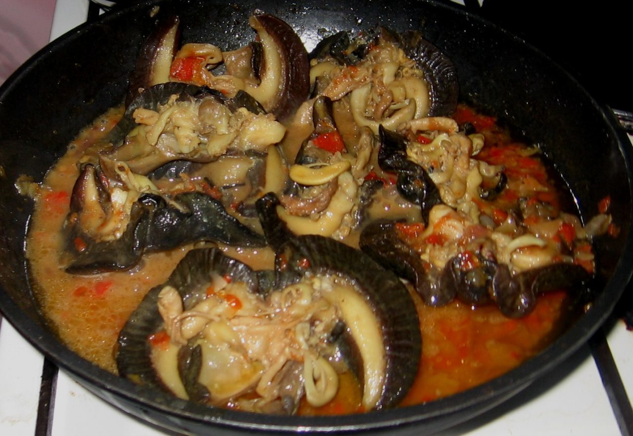 snails