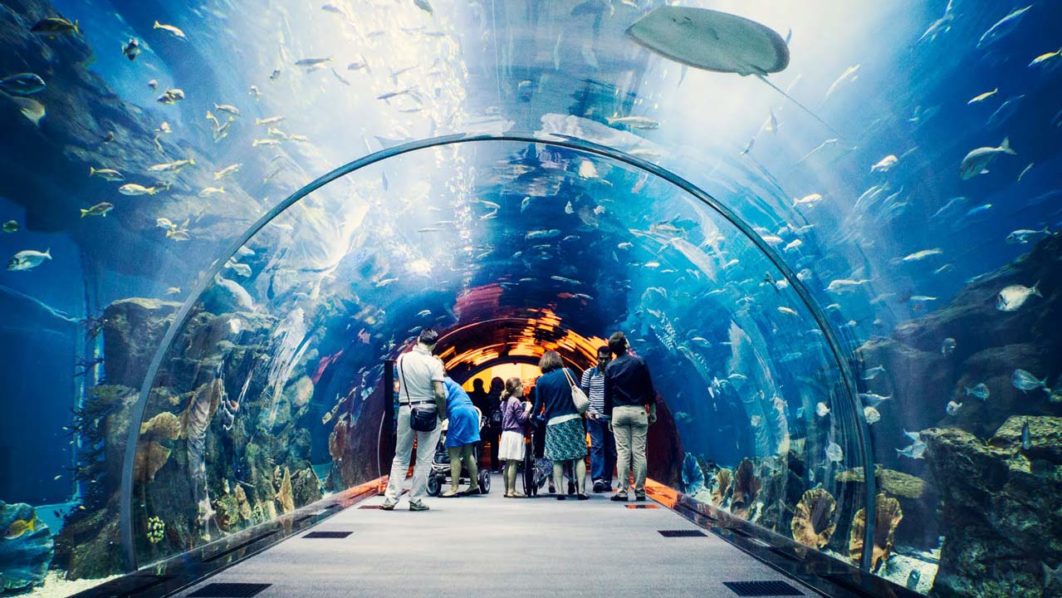Dubai-Mall-Aquarium