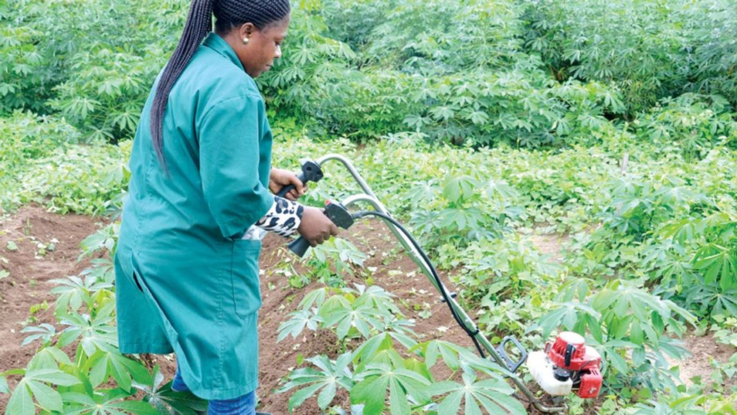Woman farmer