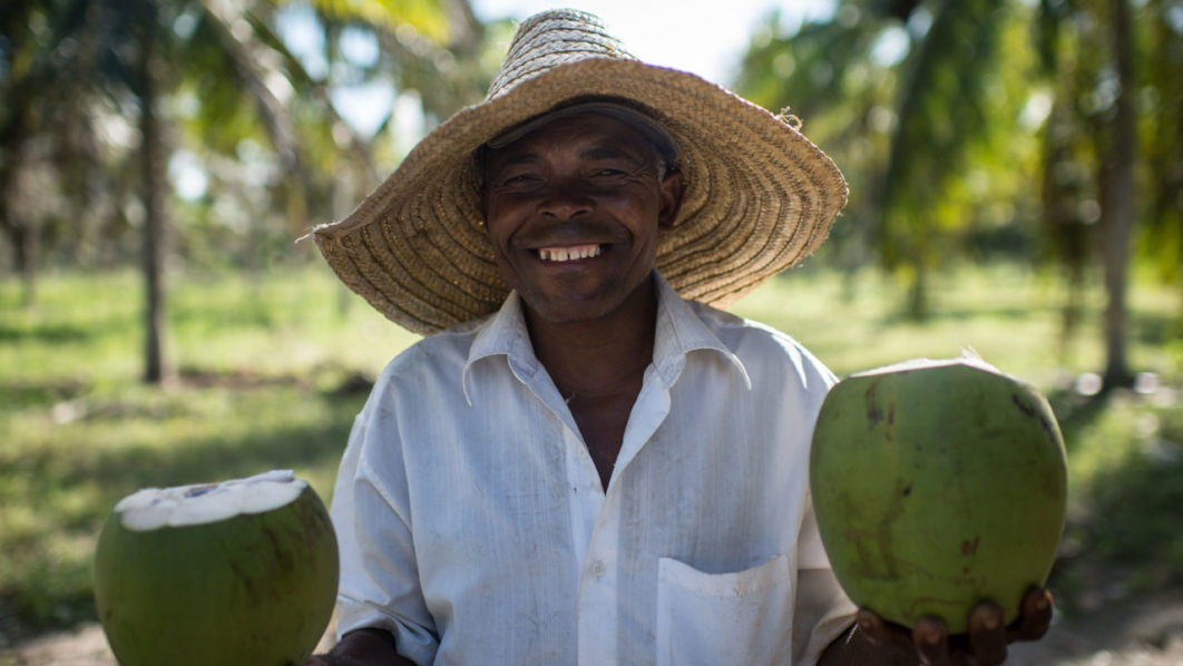 40-coconuts-AFP-Getty