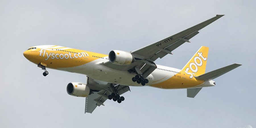 Fly Scoot