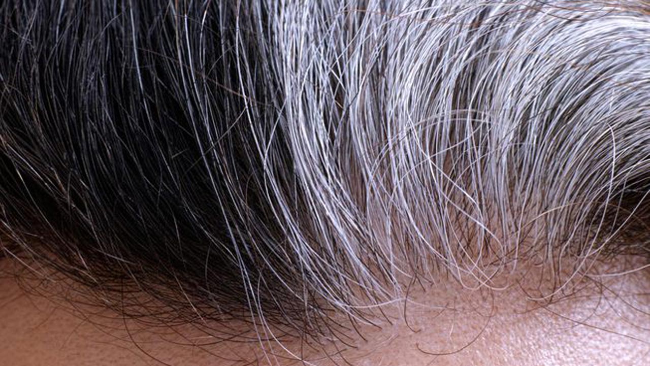 gray-hair-roots.jpg.653x0_q80_crop-smart