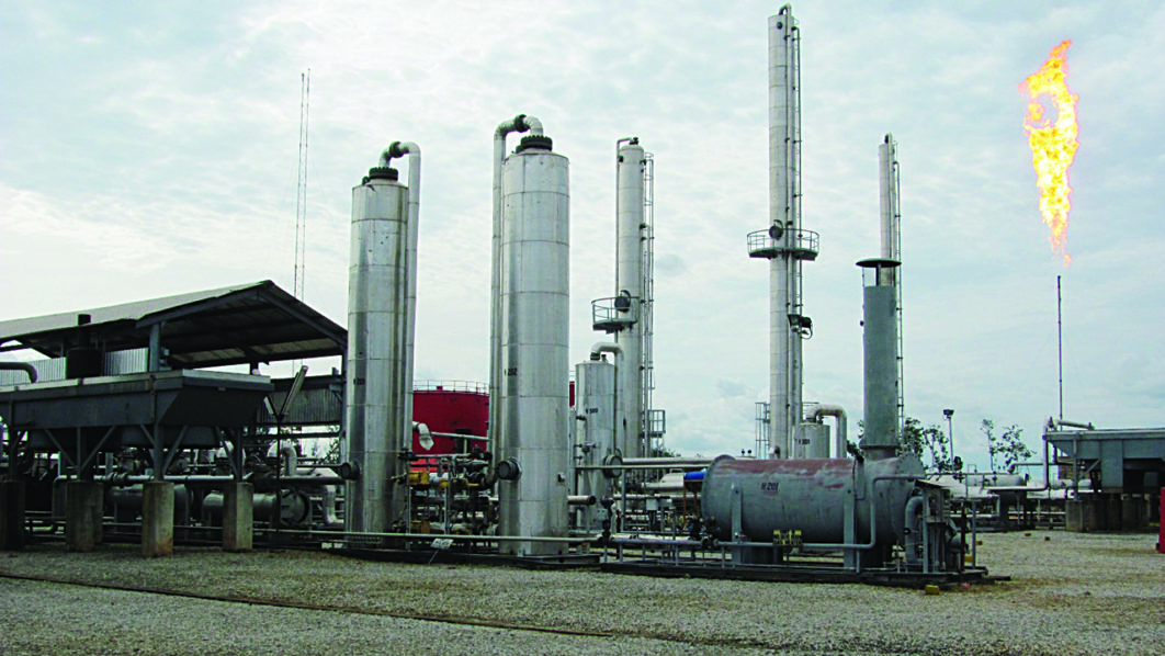 Egbaoma plant