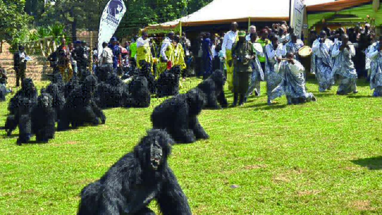 Kwita-Izina