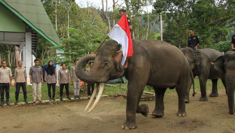 Indonesia