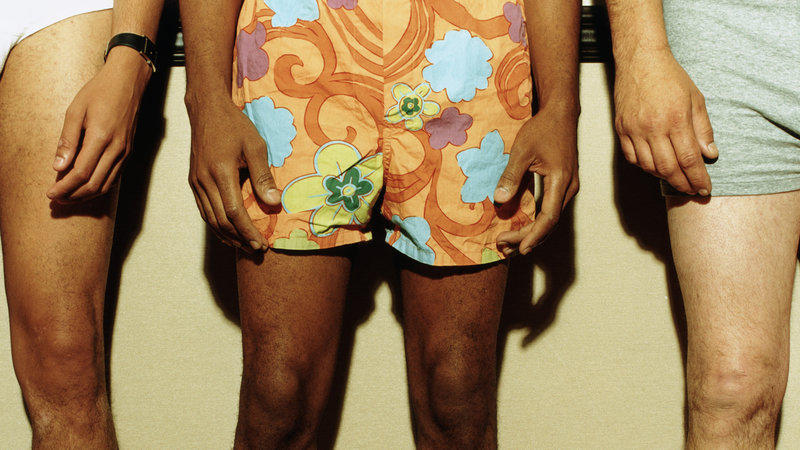 boxers. Photo NPR
