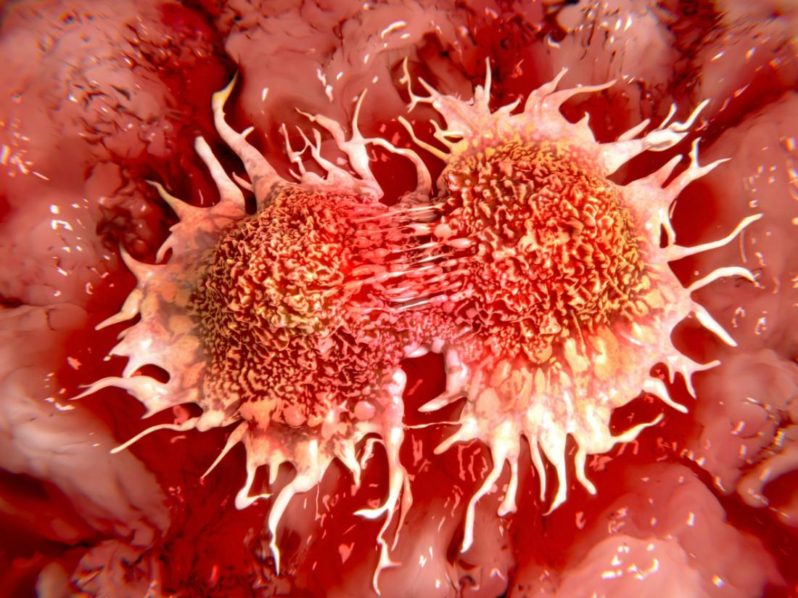 cancer-cells-dividing photo Medical News Today