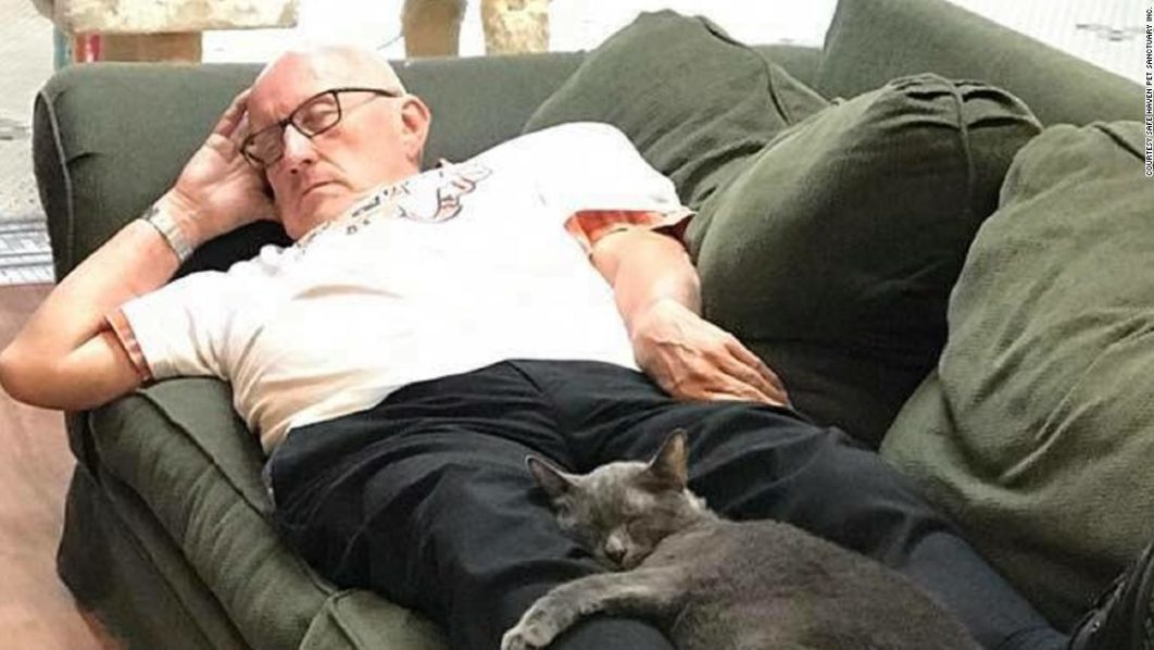 man napping with cats cnn