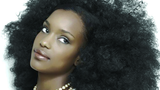 Afro hair and its traducers | The Guardian Nigeria News - Nigeria and ...