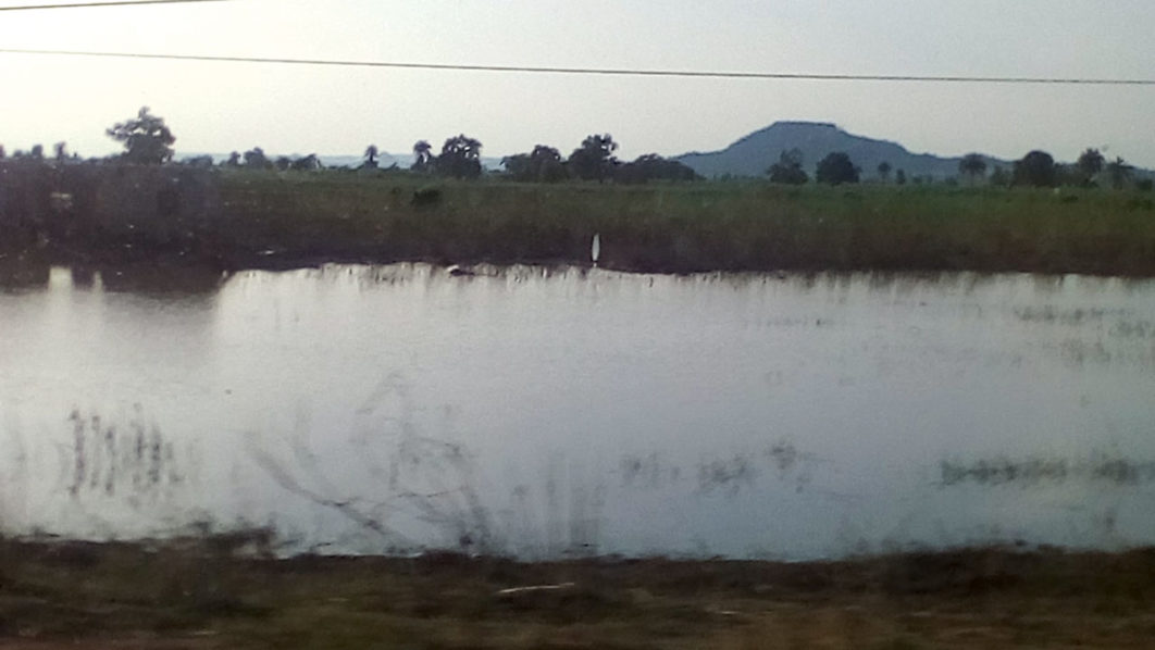 FARMFLOOD