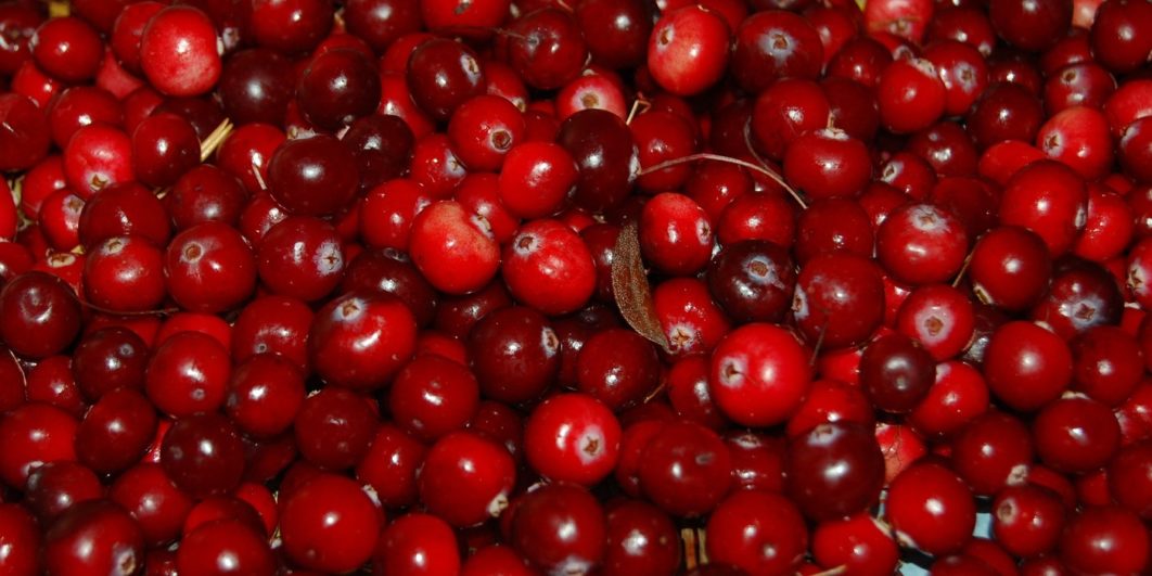Cranberries photo Oregonian recipes