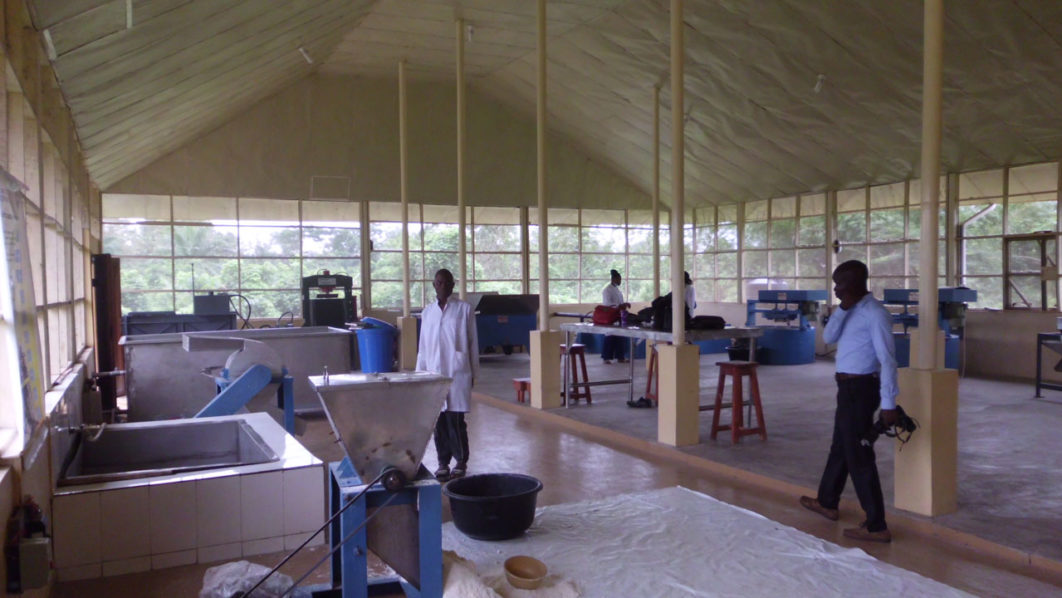FUNAAB-cassava-processing—-8-11-18