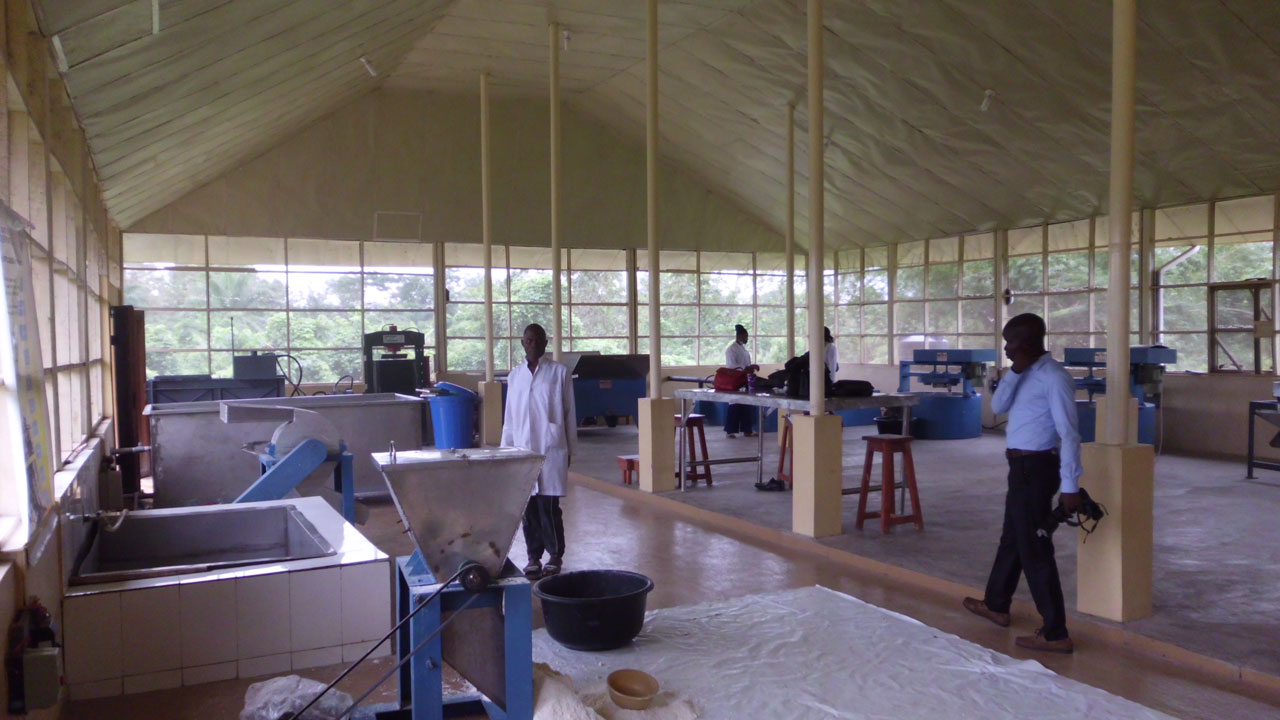 FUNAAB-cassava-processing—-8-11-18