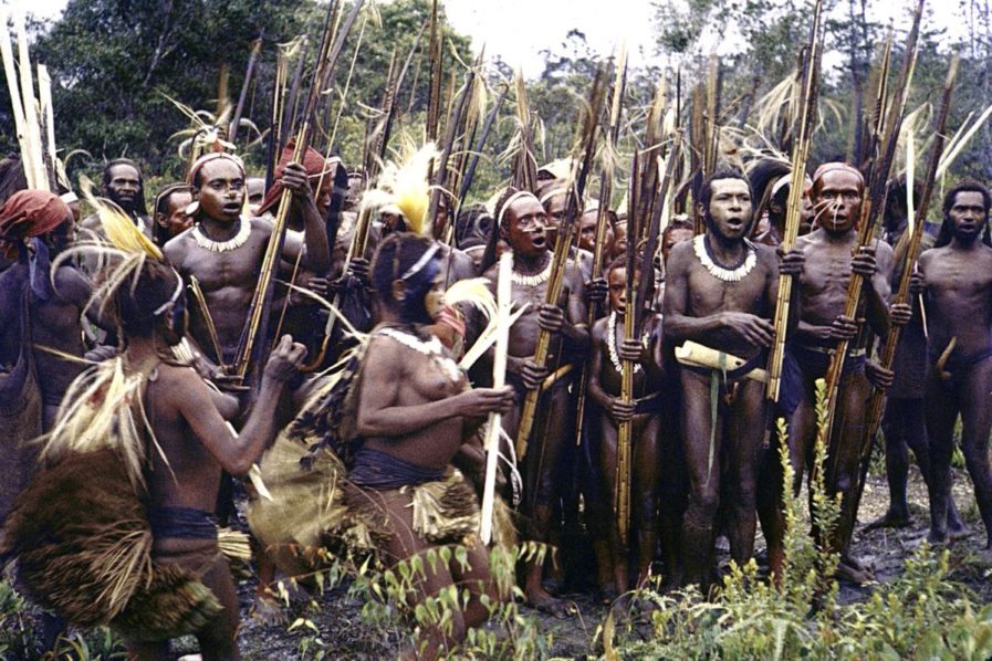 Sentinelese Isolation A Look Into The Sentinel Tribe That Is Isolated From The World | The ...