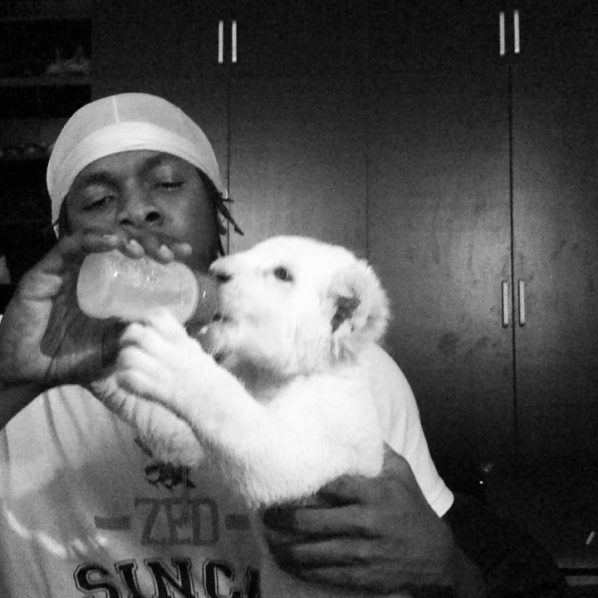 Runtown pet