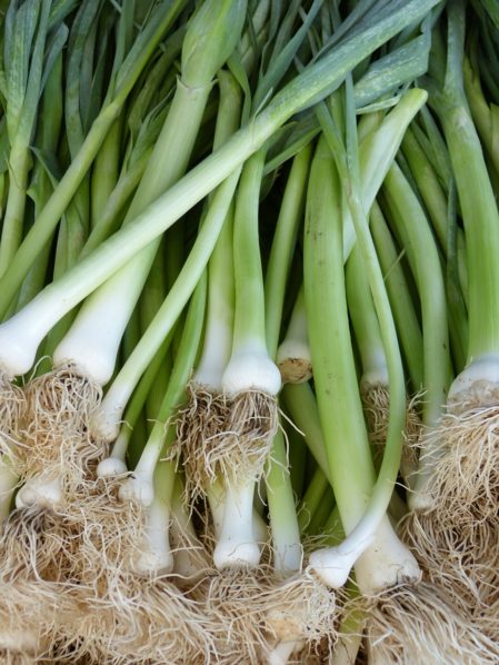 Spring onions