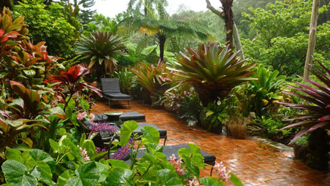 tropical-garden.