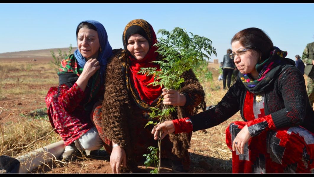 Jinwar women. Photo YouTuve