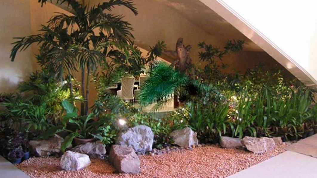 Pix12.–small-indoor-garden