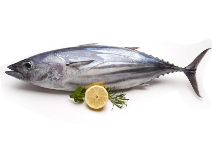 tunafish