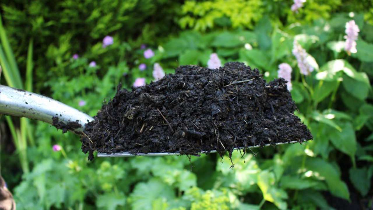 Pix1.–compost-finished