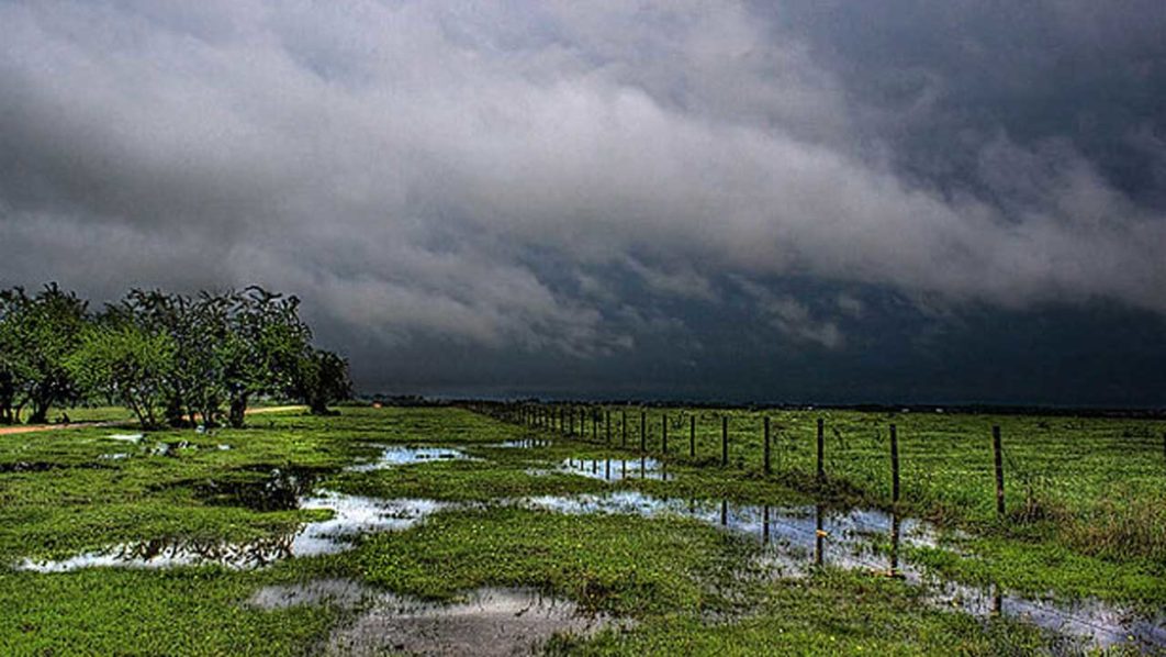 flickr_rain