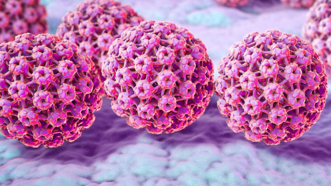 hpv. Photo ABC